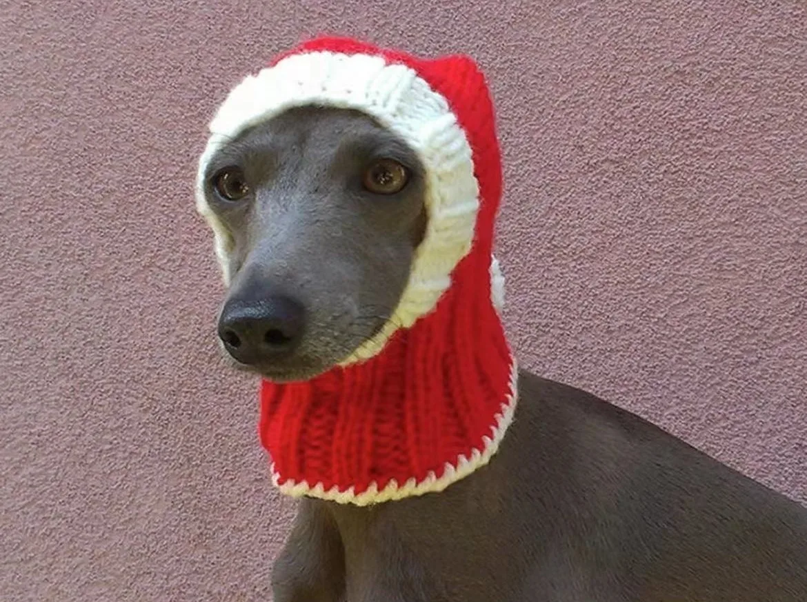 Striped Wool Dog Hat, Handwoven Pet Hat, Suitable for Small