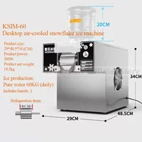 HomeWise 60 KG/24 H coréen flocon de neige Machine à glace petite neige refroidi continue lait mangue Bingsu rasoir Smoothie broyeur 110 V 220 V 1