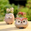 Ceramic Owl Flower Pot Garden Office Decoration Succulent Mini Owl Flowerpot Cute Animal Flowerpot Cactus Plants Planters 1