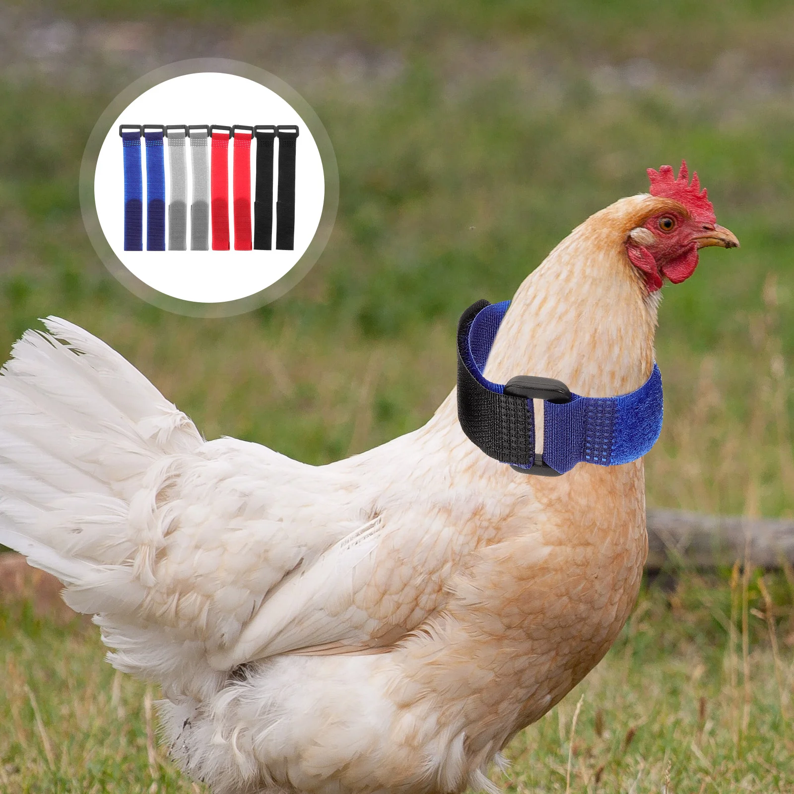 8Pcs Anti Crowing Collars Rooster Noise Free Neckbands Adjustable Poultry Collars Soft Nylon Pet Products Farm Animal Carriers