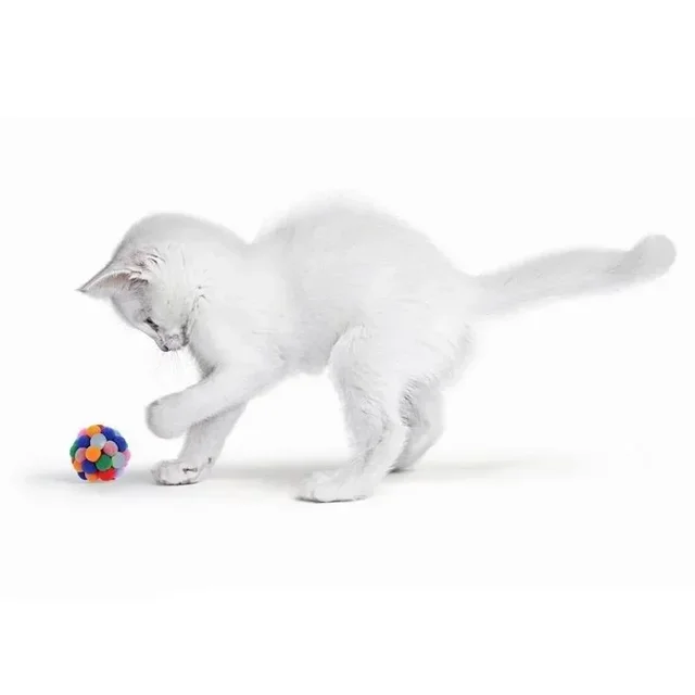 Pet Toy Cat Toys Cat Plush Ball Toys Pet Bouncy Bell Ball Toy Colorful Pompoms Pet Supplies Random Color 3