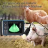 Portable Animals Ultrasound Veterinary  Machine Vet Handheld  Scanner for Equine Cow Camels Goat Dog Cat 4