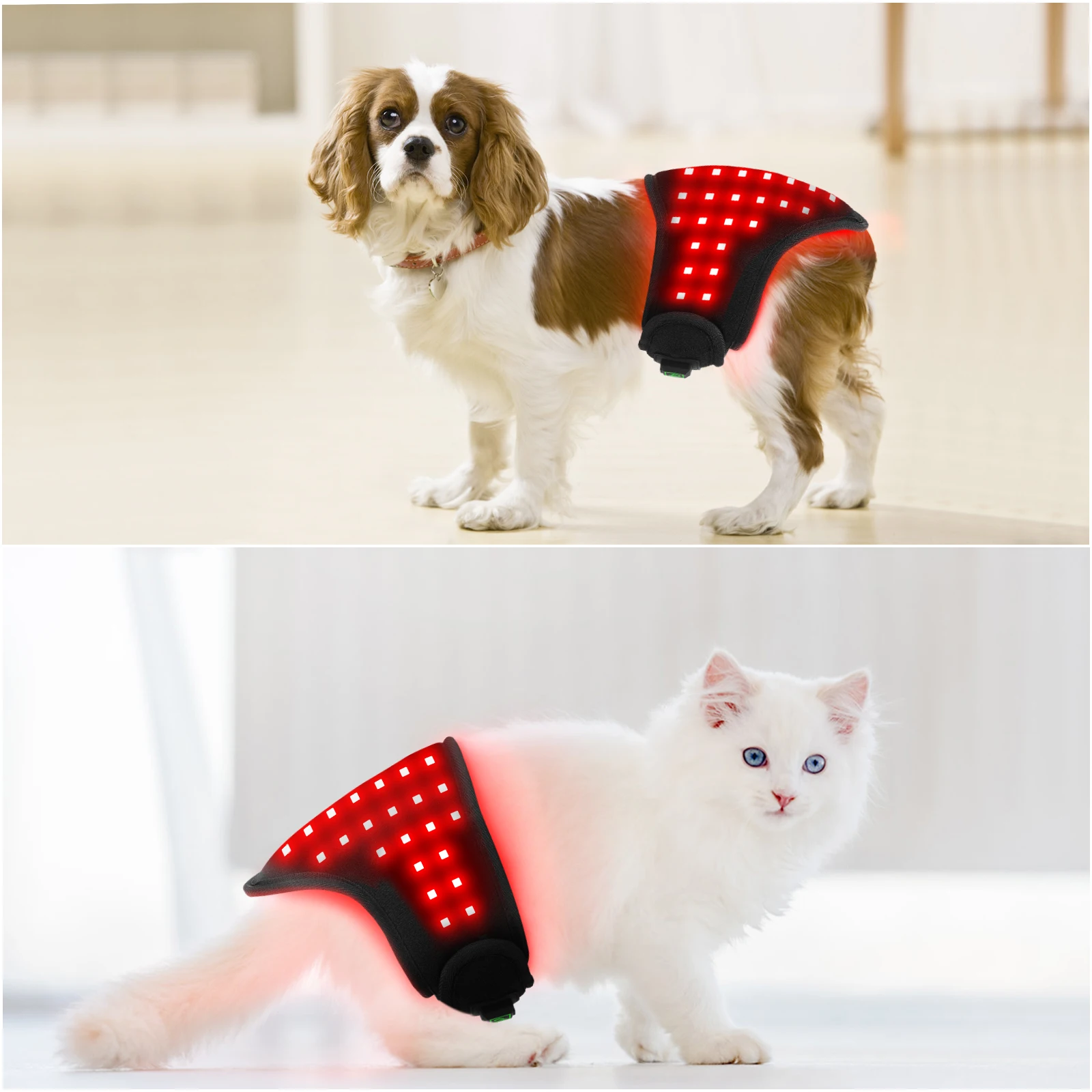 Sunglor 660NM 850NM Pet Care Dog Cat Infrared LED Wrap Red Light Therapy Belt