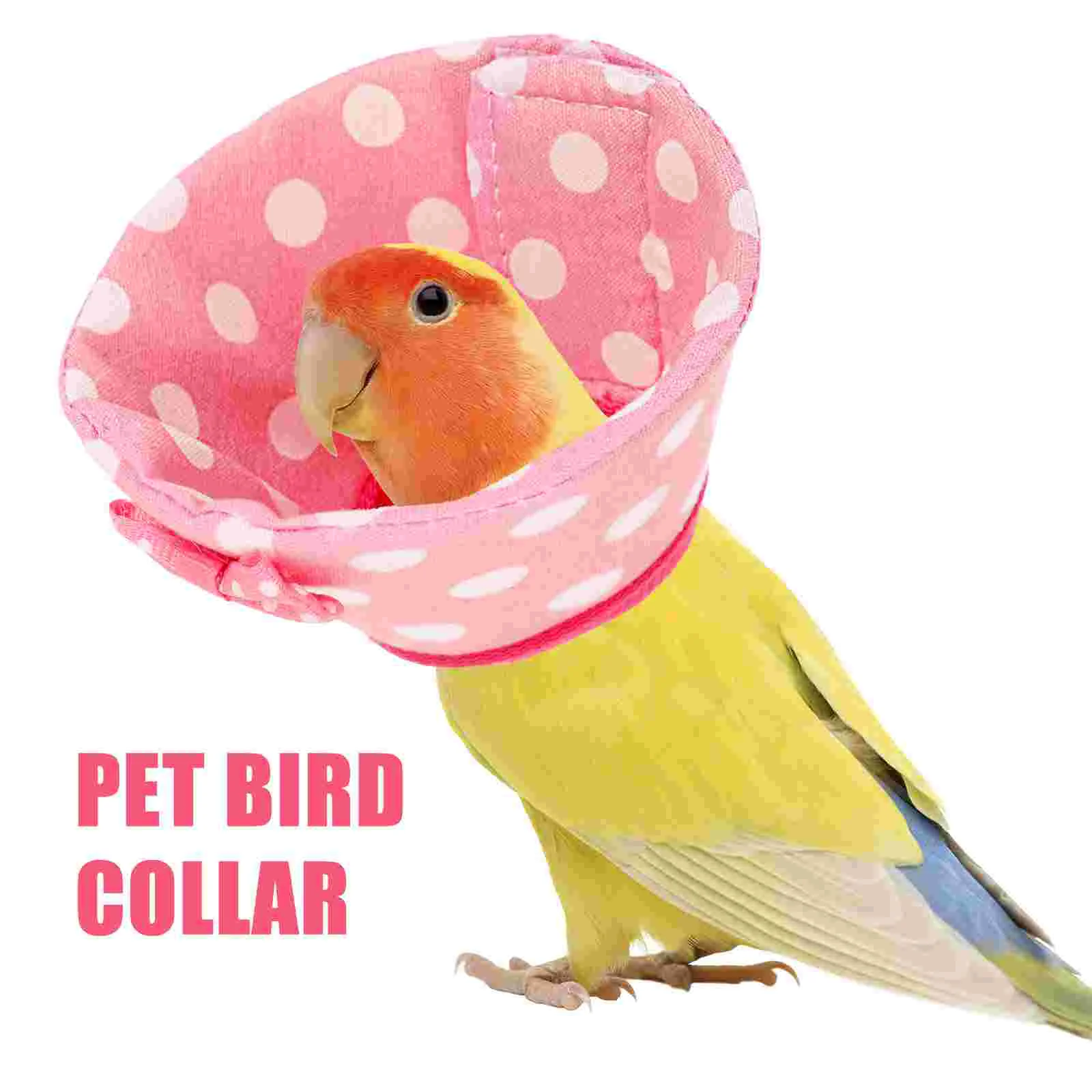 Parrot Collar Anti Biting Bird Protective Collar Parrot Neck Cone Elizabeth Circle Bird Anti Pecking Pet Products