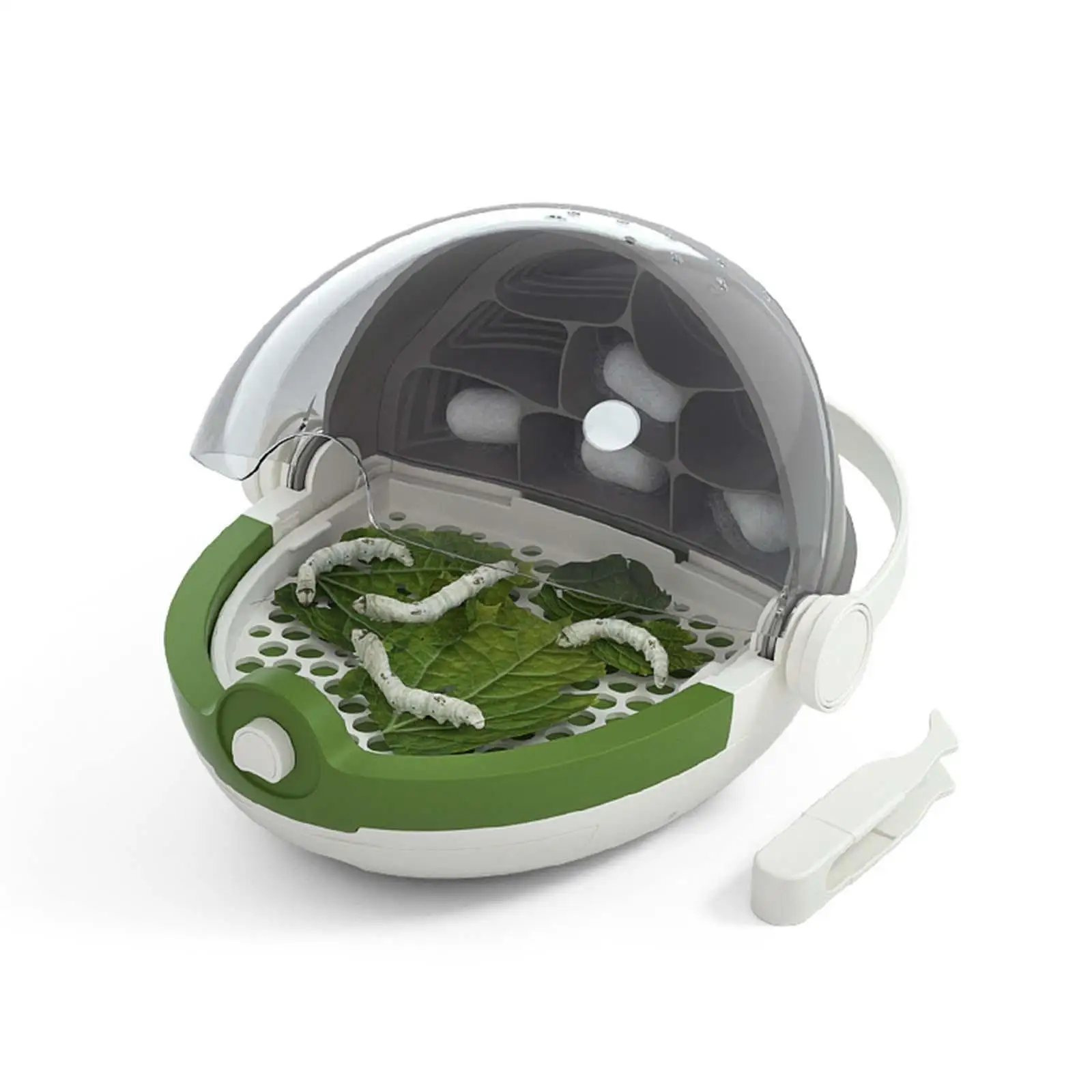 

Plastic Transparent Animal Habitat Cage Outdoor Play for Pet Spiders Frogs