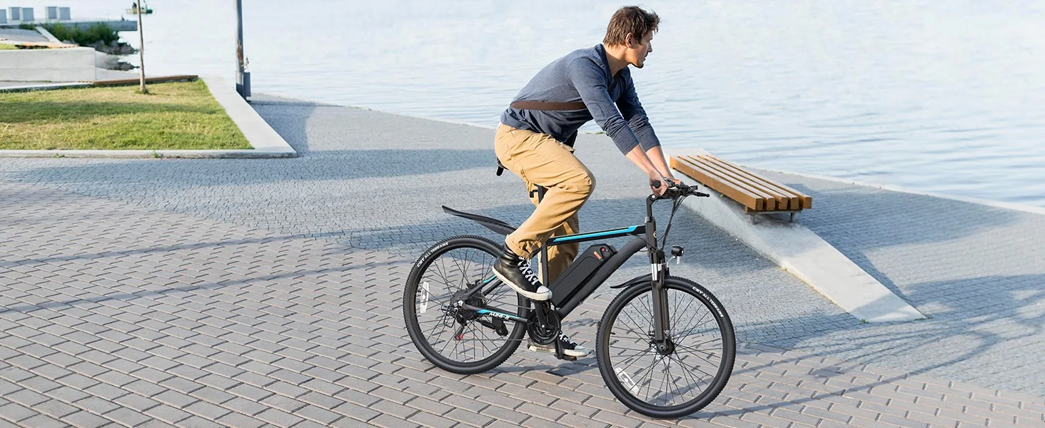 ebikes for adults