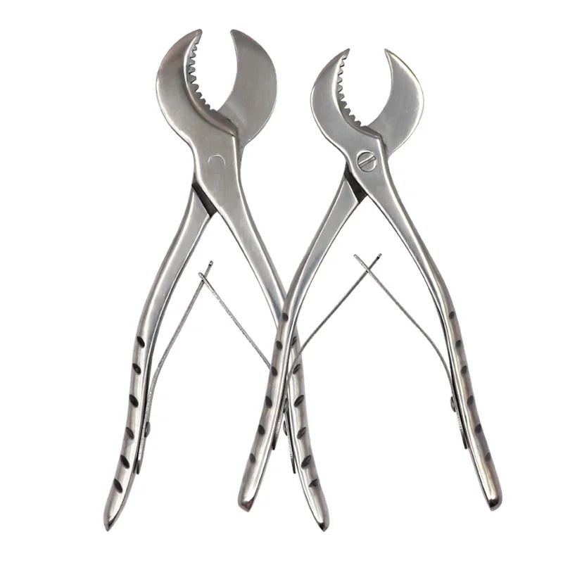 

Dental Plaster Scissors Gypsum Scissors Dentistry Material Plaster Cutter Stainless Steel Dental Lab Equipment