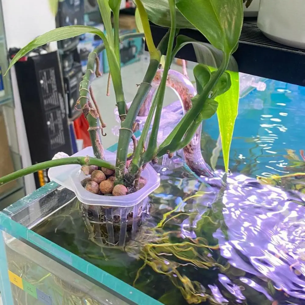 2Pcs Wall-Mounted Aquarium Plant Holder Aquatic Plant Hanger Fish Tank Basket Rack Hydroponic Plants Stand Decor Plastic Planter