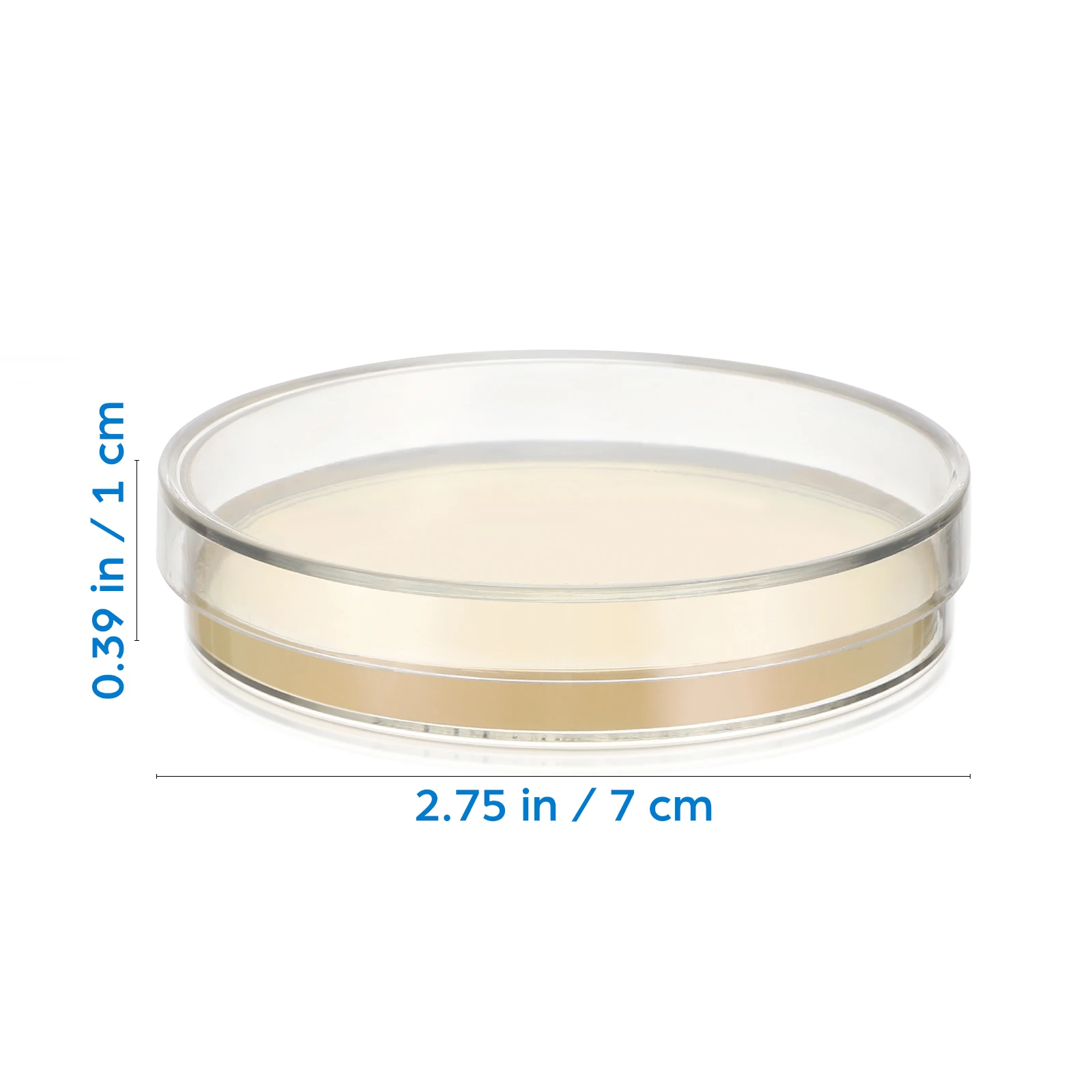 20 Pcs Cell Culture Plate Science Lab Equipment Party Decorations Experiments Agar Plates Mycology Prepoured