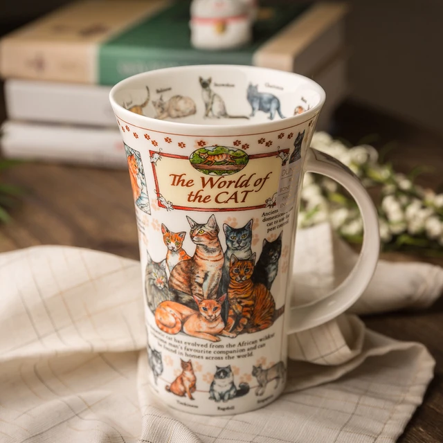 Dunoon Dannon-taza de té hecha a mano de hueso del Valle, taza de agua, taza  de café, importada de Gran Bretaña, 500Ml - AliExpress