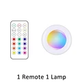 1 remote 1 lamp