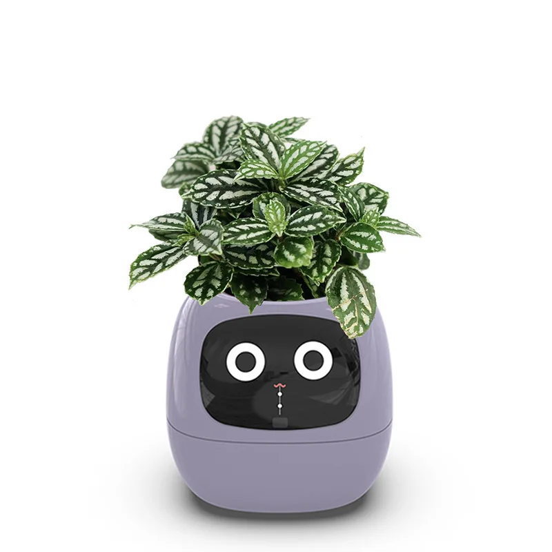 Ivy Smart Planter Endless Fun Over 49 Rich Expressions 7 Smart Sensors And AI Chips Make Raising Plants Easy And Fun 5