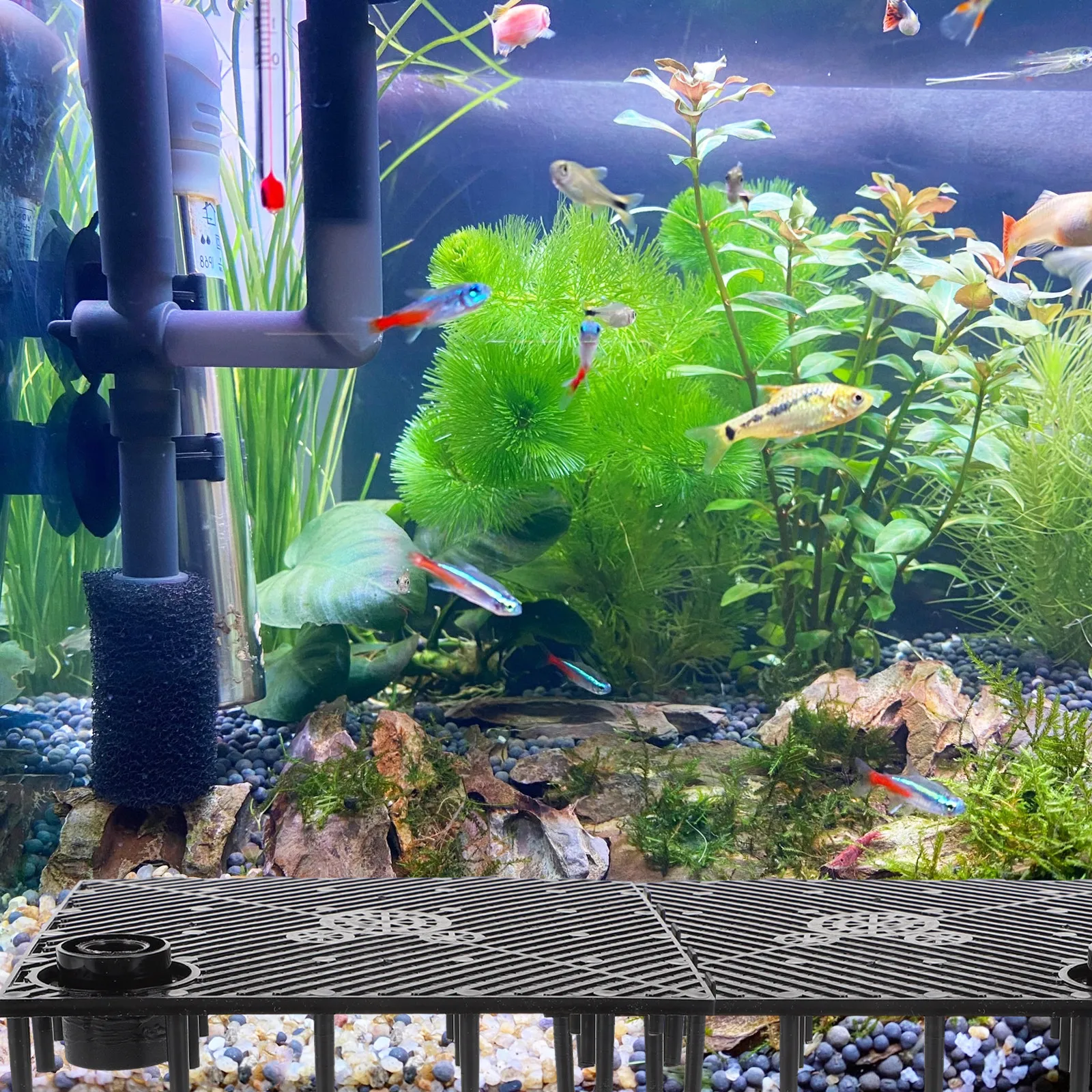 수족관용 12Pcs 바닥 필터 플레이트, 다중 홀 투과형 디자인, 안전하고 흠집 ..