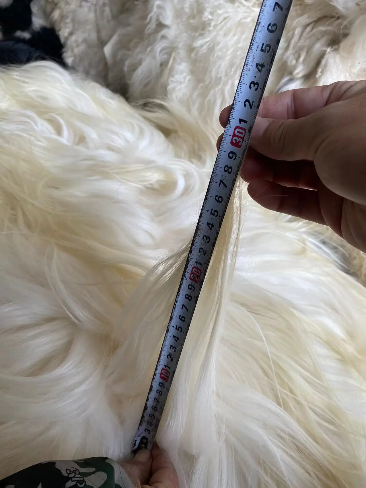 Slide image 49175929f61a49dcbe550febbe54acf7