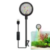 USB-Plug Aquarium Mini Lamp LED Fish Tank Colored Lights Accessories Fishbowl Landscaping Reptile Animals Crap Goldfish Turtle 1