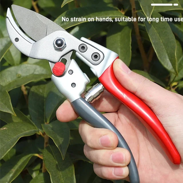 Sk5 Acél Kertészeti Olló 25 Mm Kerti Ág 2Db Gyümölcsfasz Metsző Virágmaszkoló Virág Elrendező Eszköz - Image 2