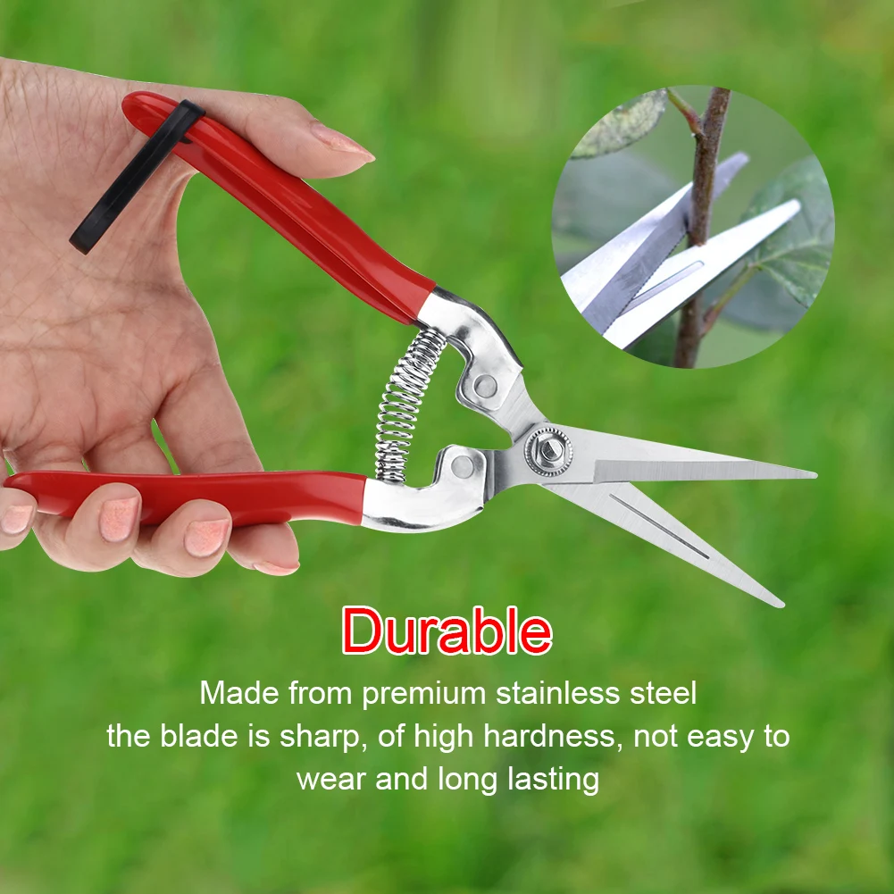 Fruit Tree Bonsai Gardening Pruning Shear Garden Scissors Pruner Tool Fruit Scissor Garden Scissor Tree garden scissors,pruning shears,garden tools,garden pruner