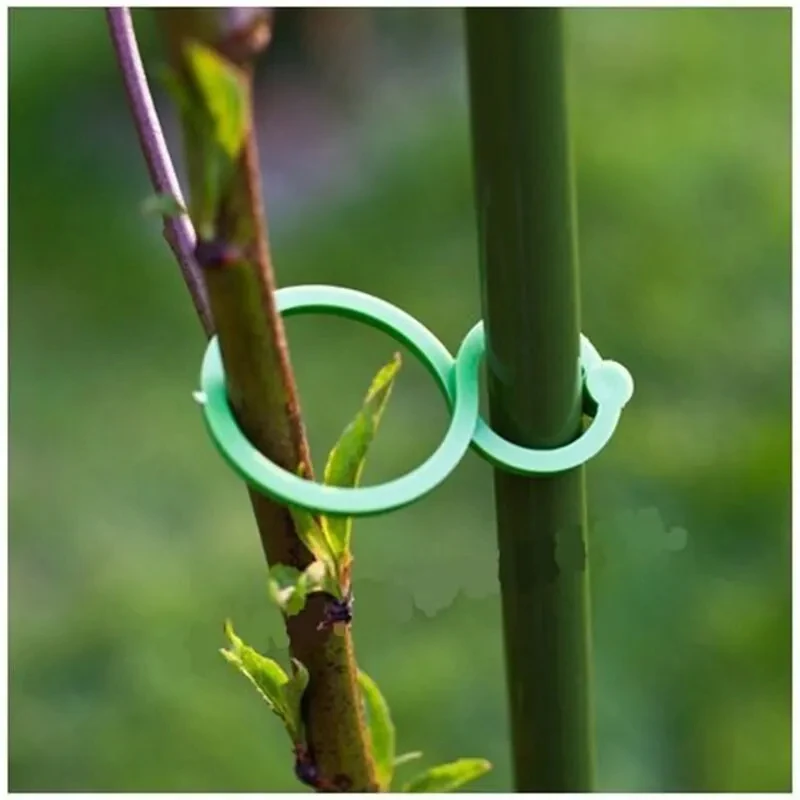 50-Piece Garden Plant Holder Clips for Vine Support and Decoration
