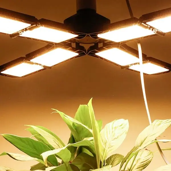 XinJia LED