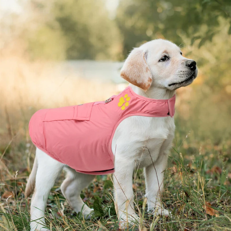 Pet Clothes Autumn and Winter Waterproof Windproof Dog Clothes Medium