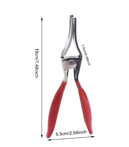 Dissecting forceps