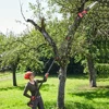 8inch Brushless Telescopic Pole Electric Chainsaw High Branch Height Cordless Garden Tree Pruning Tool For Makita 18V Battery 2