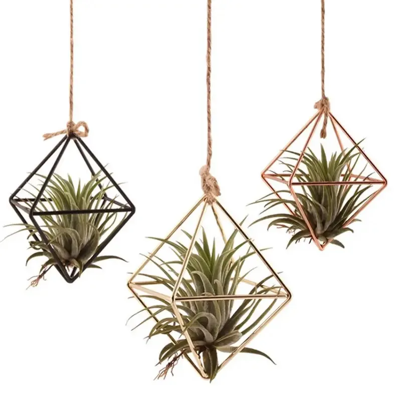 Elegant Wall-Mounted Macrame Plant Hanger for Indoor & Outdoor Décor