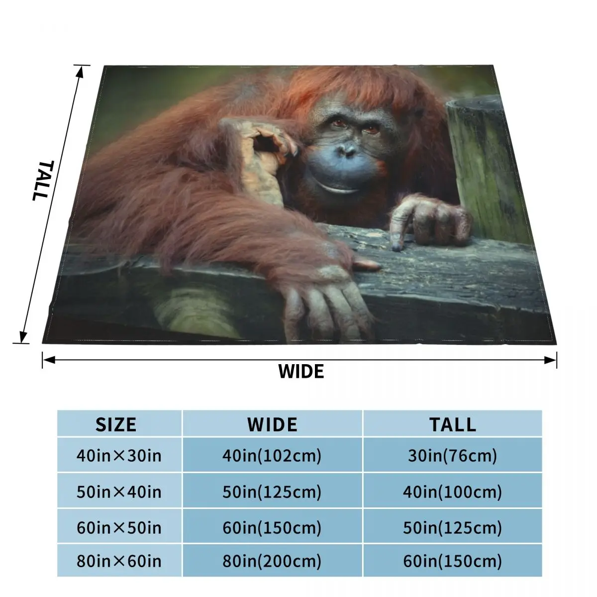 ������ź ������ ���,  ���, ���� ���