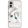 Case-c51