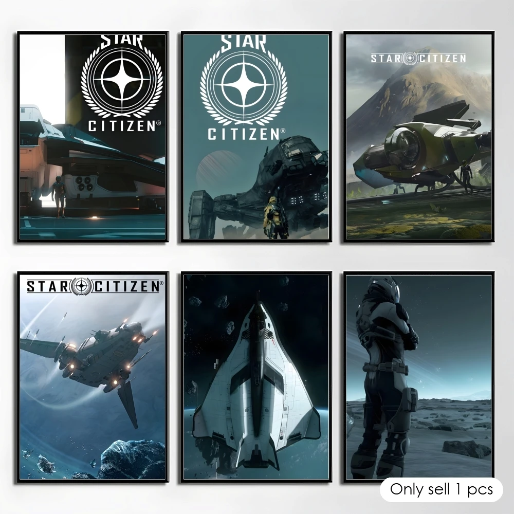 Elegant S-Star Citizen Video Game Wall Art Stickers for Dormitory and Living Room Decor