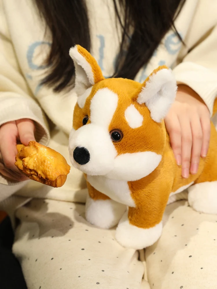 S77650edaa4c64a469e2725af3de12202v - Corgi Gifts