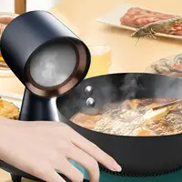 Desktop Range Hood, Tabletop Cooker Hood, Cooker Small Ventilator for Indoor, Hot Pot, Kitchen, BBQ 2