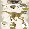 Walking and Roaring Dinosaur Remote Control Electronic Robots Toy,  Toys Dinosaurs with Light and Sound,Ideal GIfts 4