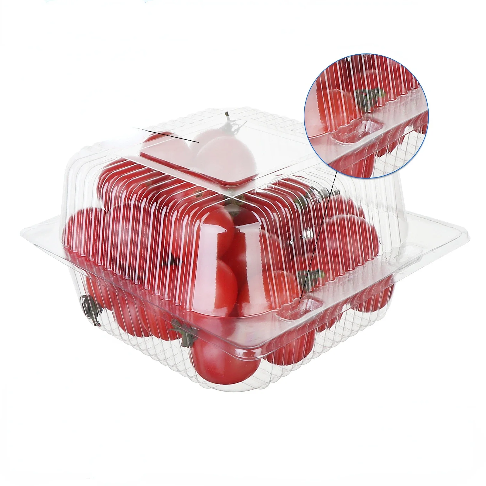 25 Pcs Clear Clamshell Food Container With Lids Party Disposable Lunch Boxes Picnic Food Packing Boxes Takeaway Cake