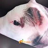 50~120cm Sleeping Pig Plush Pillow Stuffed Printing Animal Pillow Lumbar Support Bed Chair Cot Decor Cushion 6