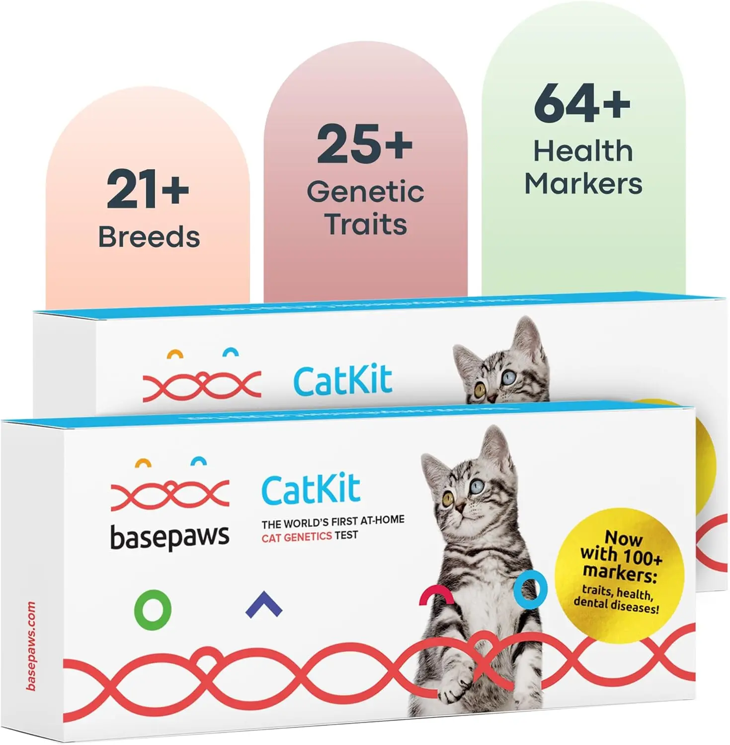 Basepaws Cat DNA Test Kit 2 Pack: The Most Accurate Way to Discover ... - Dna Test Kit Cat Online