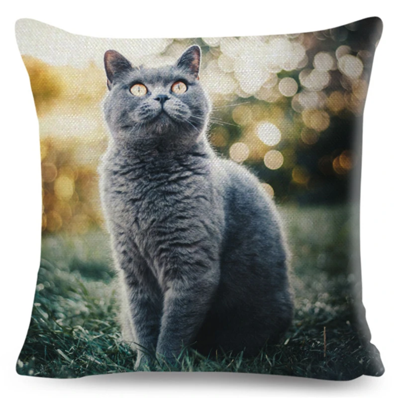 Cute Pet Animal Cushion Cover 3D Fold Ear Cat Pillow Covers 45*45cm Orange cat Blue Cat Linen Pillow Case Car Sofa Home Decor 