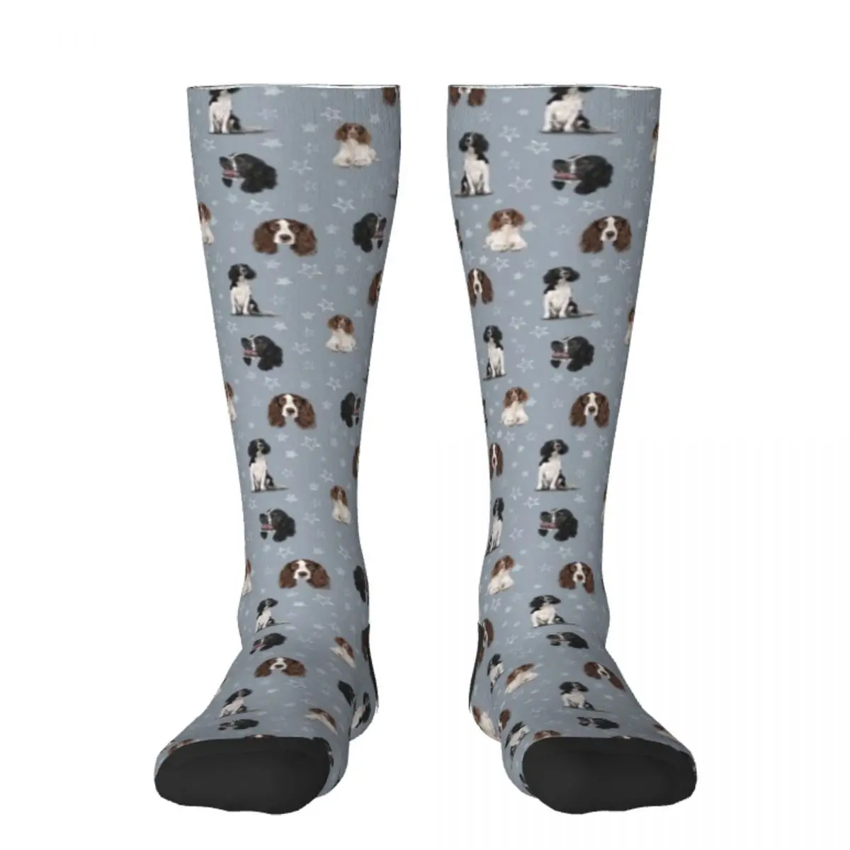 

Синие носки Springer Spaniel, дизайнерские Брендовые мужские носки в стиле хип-хоп для женщин
