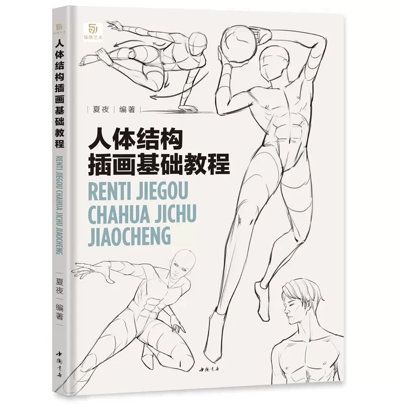 

A Basic Tutorial on Human Body Structure Illustration Art Book Dynamic structure Techniques For Human Body Sketching