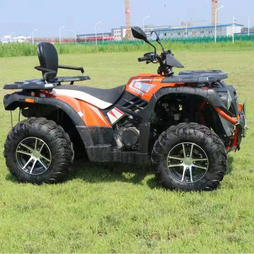 Adult 4x4 Utility ATV 3