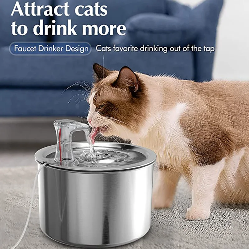 Stainless Steel Fountain Bundle