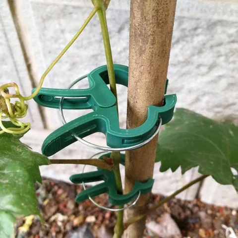 

20Pcs Fastener Greenhouse Bracket Pole Fixed Clamp Plants Flower Seedling Stem Support Plant Grafting Stakes Connector Clip