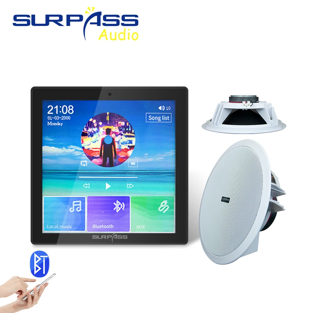 Smart Audio Mini Wall Amplifier 2CH Bluetooth compatible PA System Ceiling Speaker Home Theater