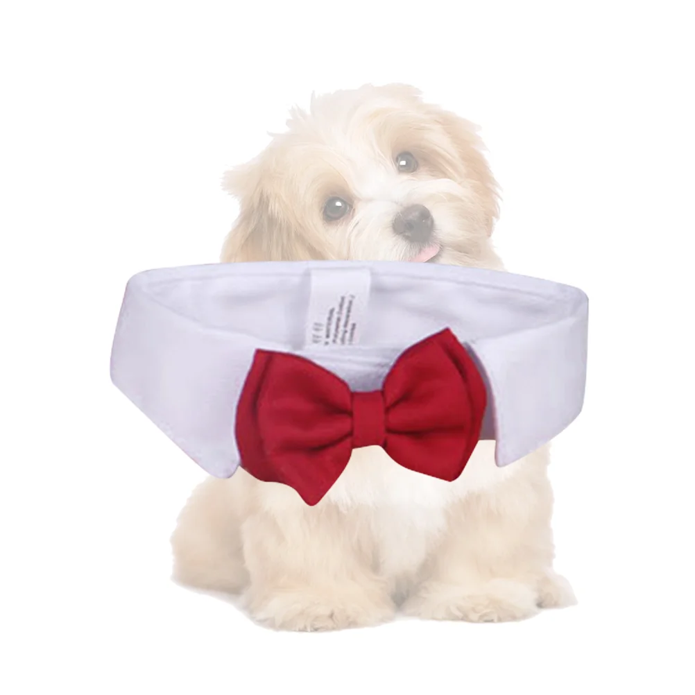 

Cat Tie Pet Supplies Bow Collar Adjustable Puppy Collars for Litter Boys Bowtie Large Dog