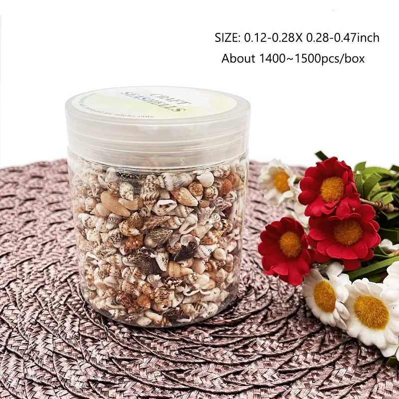 Mixed Sea Shells Ocean Beach Spiral Seashells Craft Charms for Home Decorations Candle MakingFish Tank and Vase Filler &hellip; &hellip;