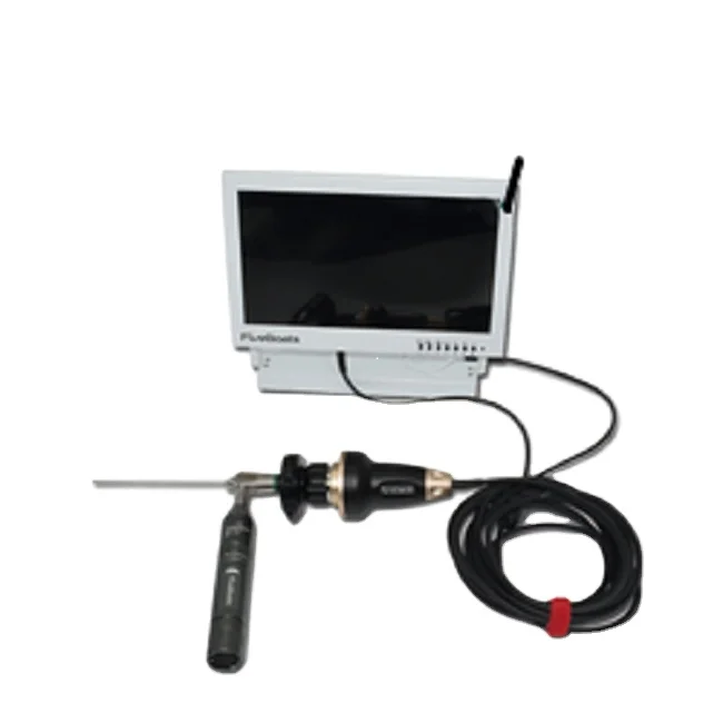 10.1'' IPS LED Display Hd Ear Pick Spoon Otoscope Visual 2.7mm Slim Ear Cleaning Endoscope Camera