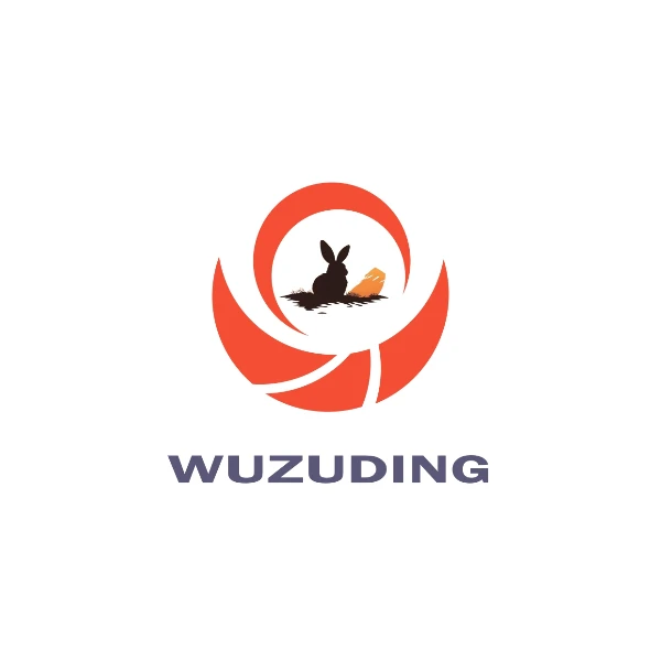 WuZuDing Store