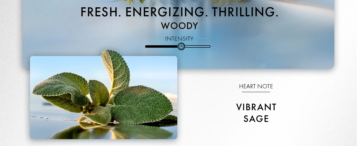 mens colognemens cologne