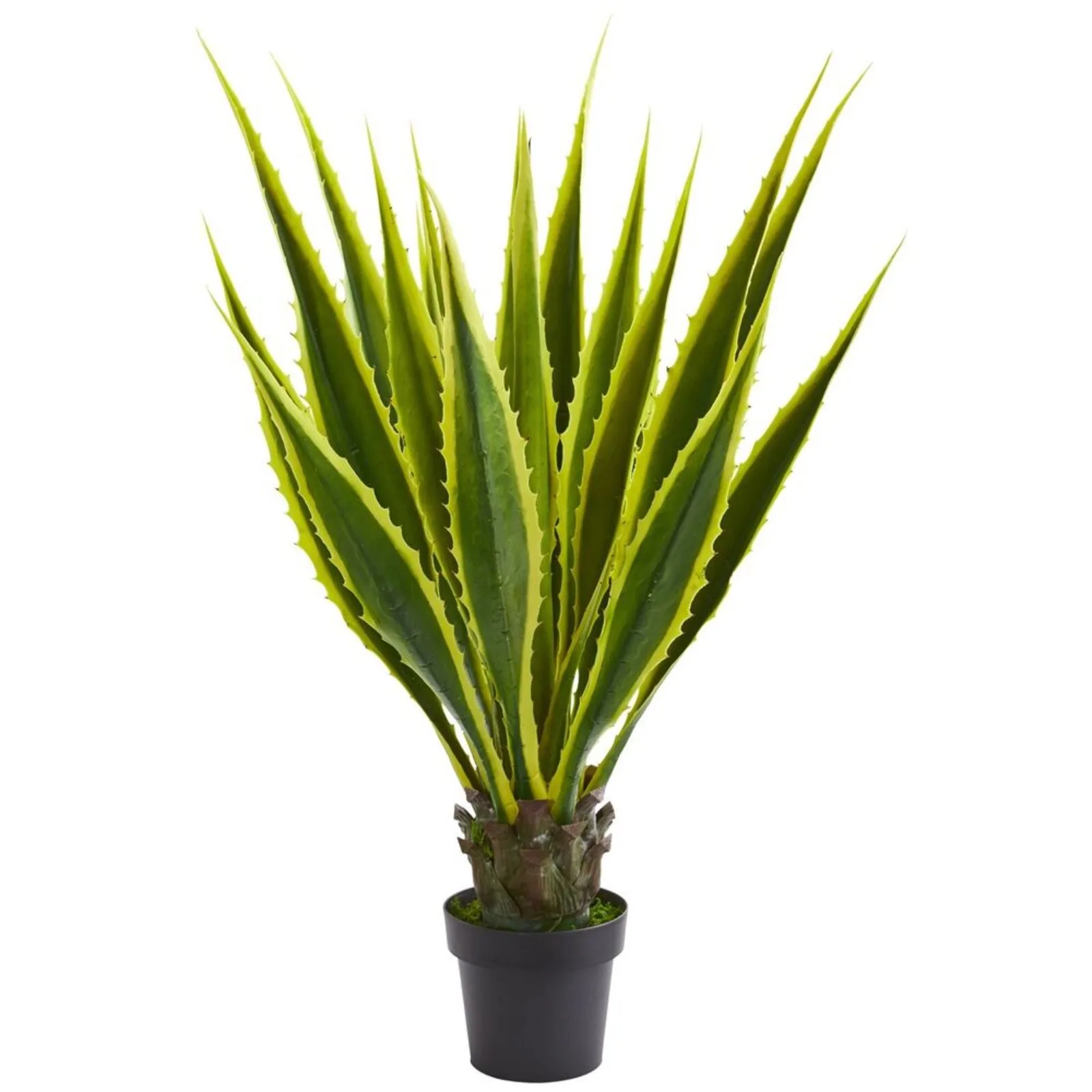 

US 3.5-foot agave fleshy artificial plant home decoration (true touch). Retail $174-