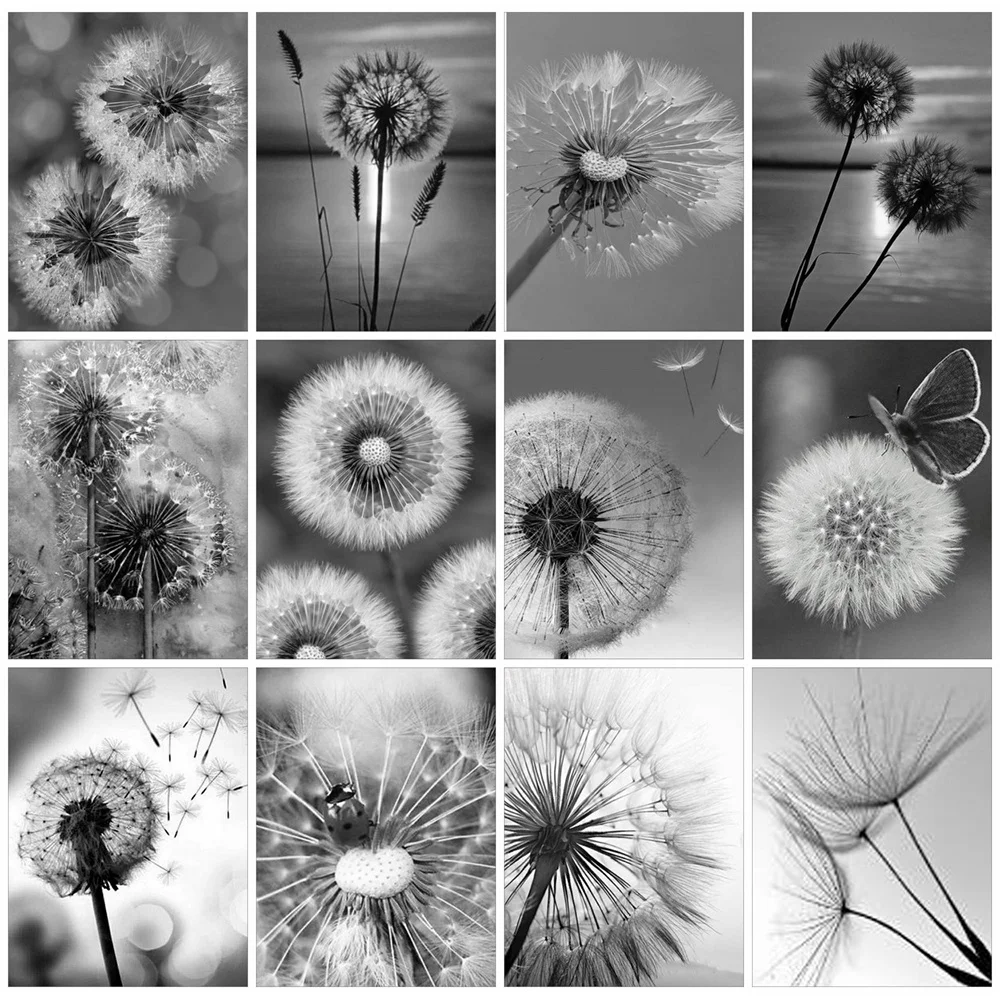 Huacan Diamond Painting Kit Flower Handmade Gift Embroidery Black And White Dandelion Living Room Wall Decoration diamond painting